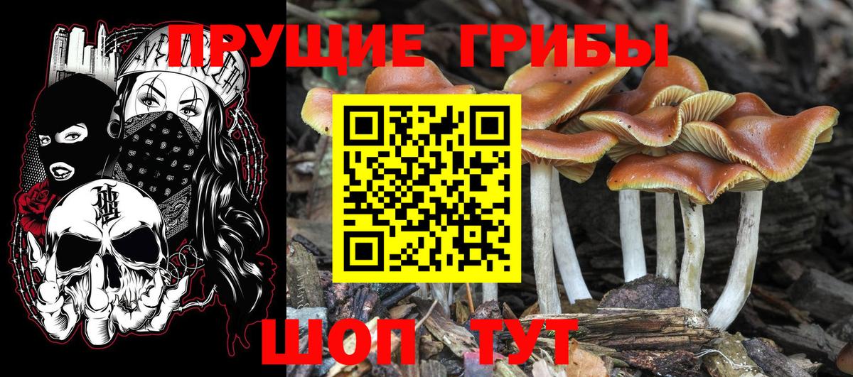 Галлюциногенные грибы ЛСД  Псилоцибиновые грибы Magic Shrooms  Кыштым  Вход с VPN 